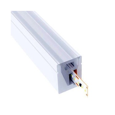 Néon LED blanc 6mm plat 24V