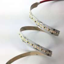 Ruban LED Blanches 2216 24V