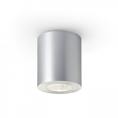 Plafonnier LED oval en aluminium brossé