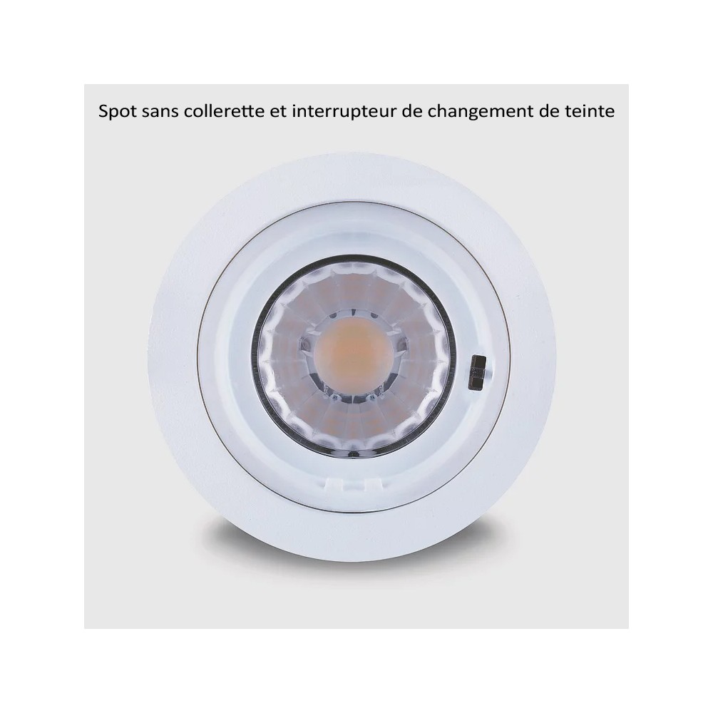 SPOT A ENCASTRER LED IP65 BBC RT2012 17W 230V DIMMABLE COULEUR  INTERCHANGEABLE 3000K/4000K/6000K - pronetelec