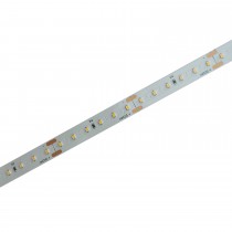 Ruban LED Blanches - Haute puissance - 24V