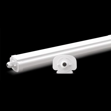 Détail réglette étanche