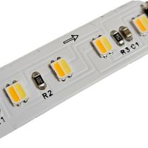 Ruban LED Blanc teinte variable digital 24V
